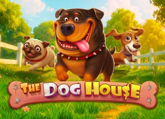 Pragmatic : The Dog House - IDAGENT138