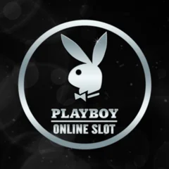 Microgaming : Playboy - IDAGENT138